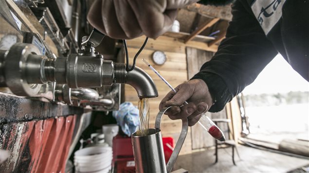 Eau d'érable Eau d'érable