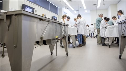 Les tables de travail du laboratoire sont aussi des des coffres dans lesquels sont préservés les corps embaumés. Les tables de travail du laboratoire sont aussi des des coffres dans lesquels sont préservés les corps embaumés.
