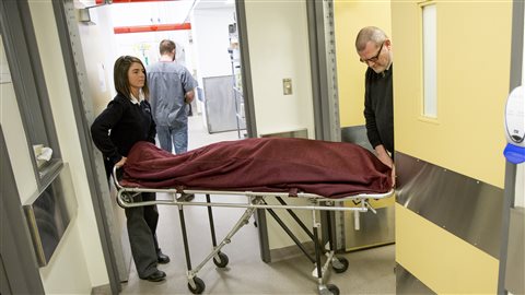 Un corps est apporté à l'Université Laval par des employés d'une résidence funéraire. Les cendres de la personne seront remises à sa famille après la période de recherche scientifique. Un corps est apporté à l'Université Laval par des employés d'une résidence funéraire. Les cendres de la personne seront remises à sa famille après la période de recherche scientifique.