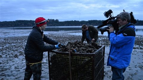 Britanny Taylor inspecte la récolte d'huîtres du Pacifique. Elle représente la cinquième génération d'ostréiculteurs chez Taylor Shellfish. Britanny Taylor inspecte la récolte d'huîtres du Pacifique. Elle représente la cinquième génération d'ostréiculteurs chez Taylor Shellfish.