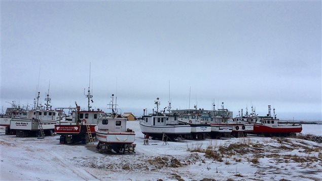 Le plus gros port de l'archipel des îles de la Madeleine se trouve sur l'île de Grande Entrée. Le plus gros port de l'archipel des îles de la Madeleine se trouve sur l'île de Grande Entrée.