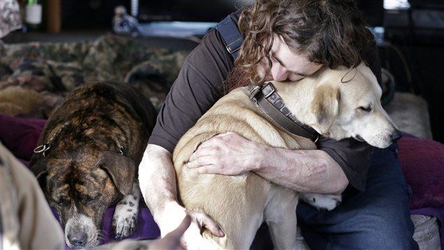 Un homme sans-abri et ses chiens Un homme sans-abri et ses chiens