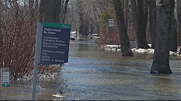 Certaines endroits de l'Île Pétrie sont inondés. Certaines endroits de l'Île Pétrie sont inondés.