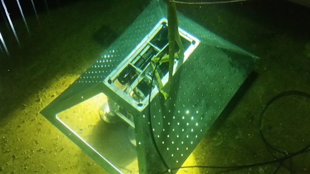 Des microphones sous-marins enregistreront le passage de baleines au large de Campbell River. Des microphones sous-marins enregistreront le passage de baleines au large de Campbell River.