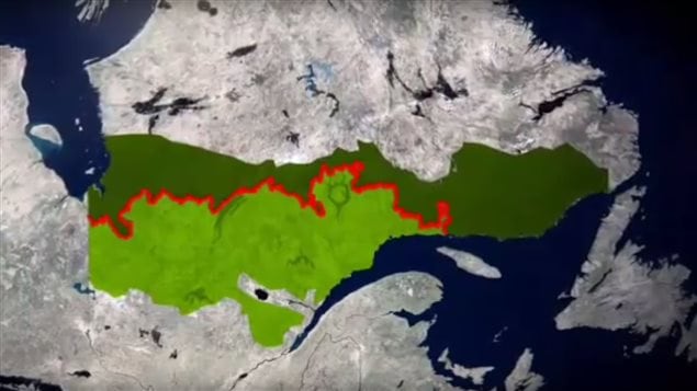 Au Québec, l’exploitation de la forêt boréale est interdite au nord de la ligne appelée la « limite nordique des forêts attribuables ». La forêt y est de fait protégée par la loi. Au Québec, l’exploitation de la forêt boréale est interdite au nord de la ligne appelée la « limite nordique des forêts attribuables ». La forêt y est de fait protégée par la loi.