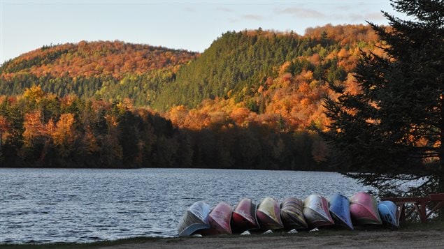 Quand l’été est passé, les arbres revêtent leur costume d’automne. Quand l’été est passé, les arbres revêtent leur costume d’automne.