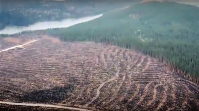 Image tirée d'une vidéo de Greenpeace Image tirée d'une vidéo de Greenpeace