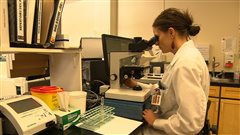 Plusieurs technologistes craignent pour leur emploi Plusieurs technologistes craignent pour leur emploi