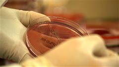 Travail en laboratoire Travail en laboratoire