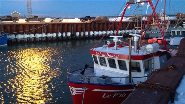 Les bateaux sont toujours à quai Les bateaux sont toujours à quai
