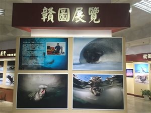 150 000 personnes ont vu l'exposition en Chine. photos de Mario Cyr avec écriture en Mandarin