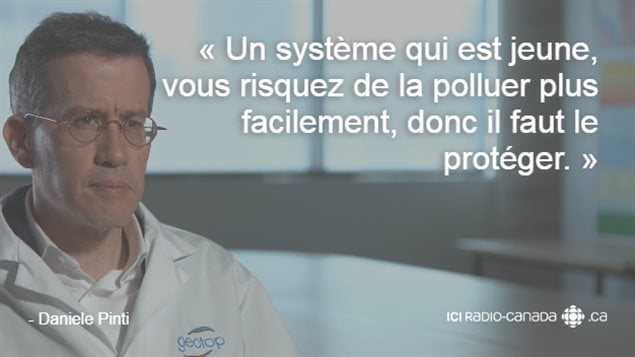 daniele-pinti-citation daniele-pinti-citation