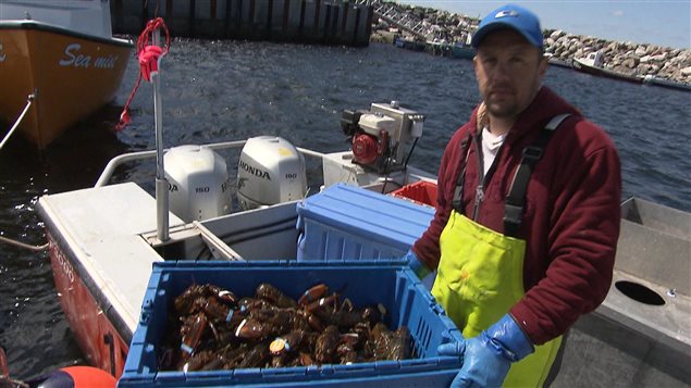 Débarquement de homards en Gaspésie