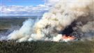 La forêt boréale du Canada sera de plus en plus à risque (2016-05-06)