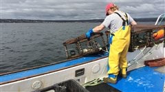Bateau de pêche au homard au large de Port-Daniel-Gascons