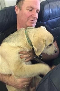 Un passager tient un chien sur ses genoux lors du vol 1515 de Canadian North Un passager tient un chien sur ses genoux lors du vol 1515 de Canadian North