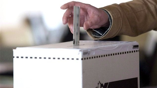 Vote Vote
