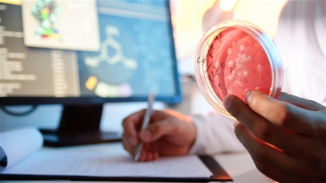 Échantillon à l'étude dans un laboratoire