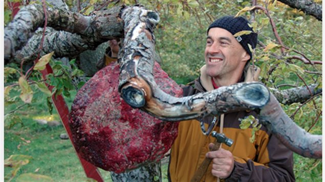 L'artiste Marc Chicoine, originaire de Belle-Anse L'artiste Marc Chicoine, originaire de Belle-Anse