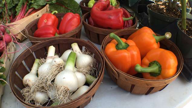 aliments-locaux aliments-locaux
