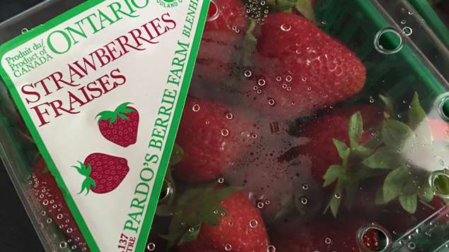 Des fraises de l'Ontario Des fraises de l'Ontario
