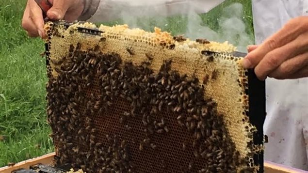 sites de rencontres nouveau-brunswick