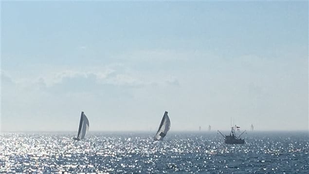 Une vingtaine de voiliers Class40 participent à la course