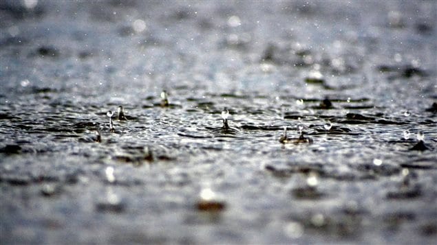 Des gouttes de pluie sur un sol trempé Des gouttes de pluie sur un sol trempé