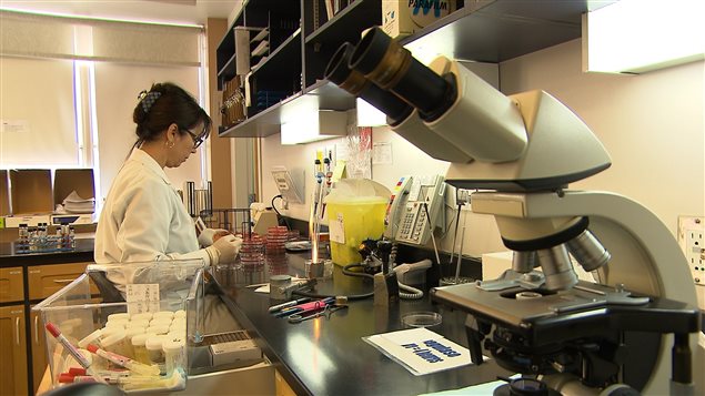Analyse en laboratoire