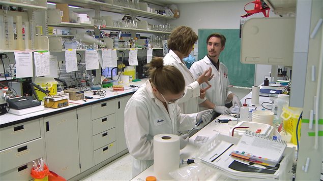 Catherine Mounier mène, depuis des années, des travaux sur le métabolisme des lipides dans les laboratoires de l'UQAM. Catherine Mounier mène, depuis des années, des travaux sur le métabolisme des lipides dans les laboratoires de l'UQAM.