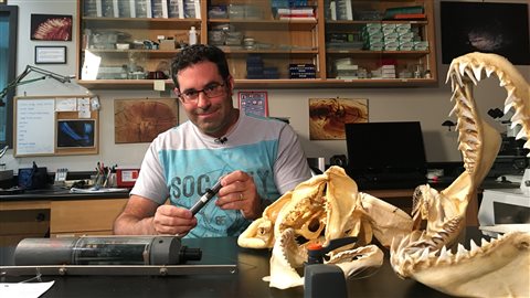 Le chercheur Warren Joyce, de Pêches et Océans Canada, s'inquiète de voir moins de requin cette année dans l'Atlantique.