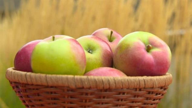 Les pommes