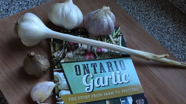 Il y a une centaine de producteurs d'ail en Ontario.