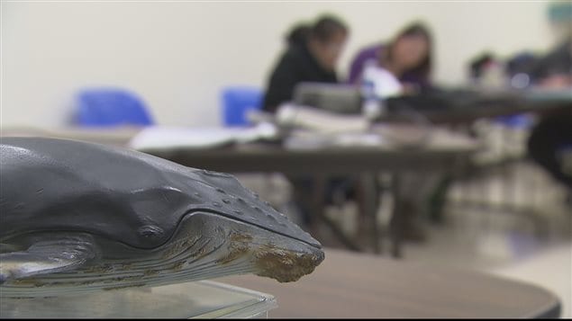 Classe de l'École des pêches et de l'aquaculture du Québec à Grande-Rivière Classe de l'École des pêches et de l'aquaculture du Québec à Grande-Rivière