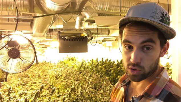 David Bernard Perron, chef agronome chez Whistler Medical Marijuana Corporation à l'entrée d'une de ses salles de culture de marijuana médicinale. David Bernard Perron, chef agronome chez Whistler Medical Marijuana Corporation à l'entrée d'une de ses salles de culture de marijuana médicinale.