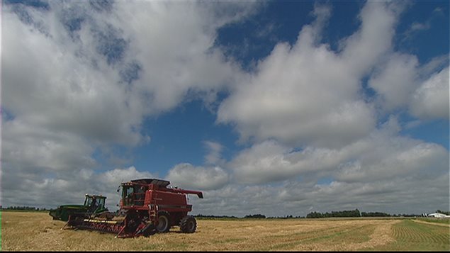 Les agriculteurs misent sur un bel automne. Les agriculteurs misent sur un bel automne.