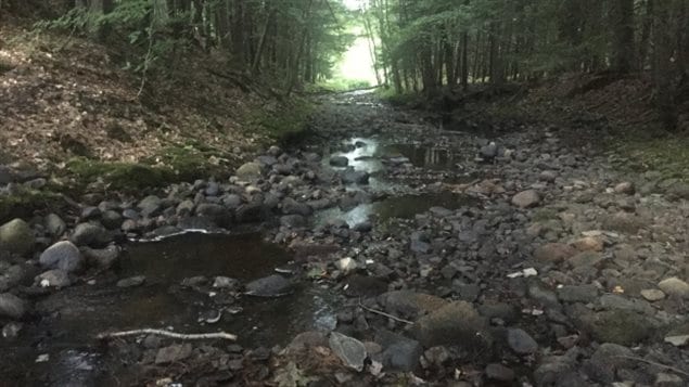 Le ruisseau Cook est normalement une importante rivière pour la pêche au saumon et à la truite