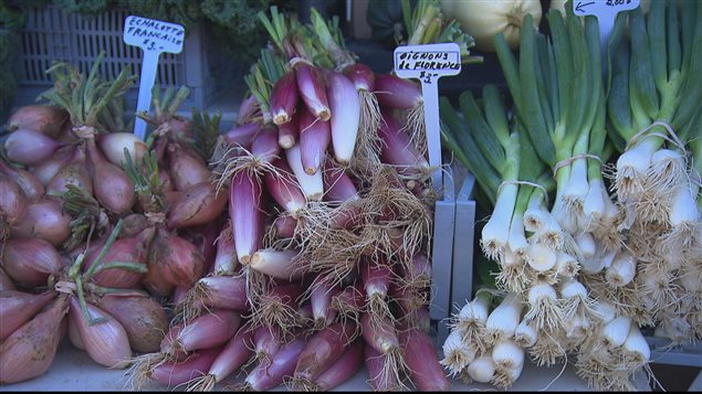 Des légumes au marche public de La Mitis.
