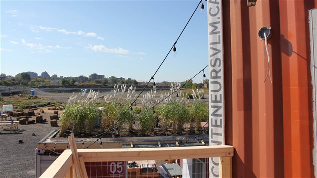 Le Catalyseur d’Imaginaires Urbains est implanté dans Le Virage, un espace réel composé de conteneurs aménagés. Le Catalyseur d’Imaginaires Urbains est implanté dans Le Virage, un espace réel composé de conteneurs aménagés.