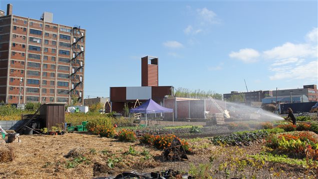 À l’angle de l’avenue Atlantic et de la rue Durocher, le Catalyseur d’Imaginaires Urbains, un lieu pour mettre en valeur le site le temps des travaux sur l'immense terrain du futur campus d'Outremont de l'Université de Montréal. À l’angle de l’avenue Atlantic et de la rue Durocher, le Catalyseur d’Imaginaires Urbains, un lieu pour mettre en valeur le site le temps des travaux sur l'immense terrain du futur campus d'Outremont de l'Université de Montréal.