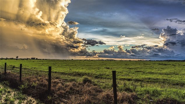 Selon une étude du Prairie Climate Centre, à l'Université de Winnipeg, le nombre de jours par année où la température dépassera 30 degrés Celsius dans les Prairies pourrait tripler ou quadrupler avant la fin du siècle.