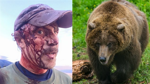 un ours polaire rencontre un grizzly