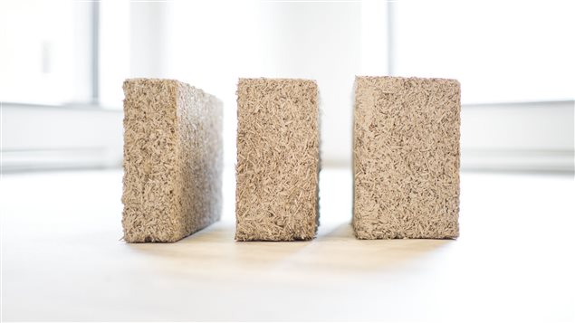 Des blocs de béton de chanvre Des blocs de béton de chanvre