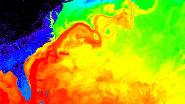 Gulf Stream Gulf Stream