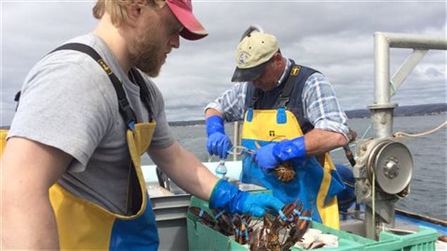 Pêcheurs de homard Pêcheurs de homard