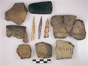 Tessons de vases iroquoiens, pointes de flèches, outils en os, les archéologues ont découvert plus de 150 000 artéfacts sur le site Droulers, dans la région de Saint-Anicet, au sud-ouest de Montréal. Tessons de vases iroquoiens, pointes de flèches, outils en os, les archéologues ont découvert plus de 150 000 artéfacts sur le site Droulers, dans la région de Saint-Anicet, au sud-ouest de Montréal.