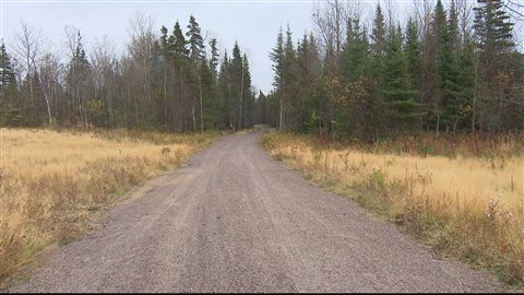 Travaux d'aménagement d'une piste cyclable entre Pointe-Lebel et Pointe-aux-Outardes. Travaux d'aménagement d'une piste cyclable entre Pointe-Lebel et Pointe-aux-Outardes.