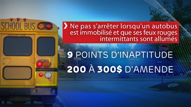 Sécurité lors des transports scolaires et points d'inaptitude. Sécurité lors des transports scolaires et points d'inaptitude.