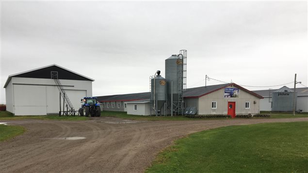 L'agriculteur Laval Duchesne est mort après avoir été encorné par un boeuf L'agriculteur Laval Duchesne est mort après avoir été encorné par un boeuf