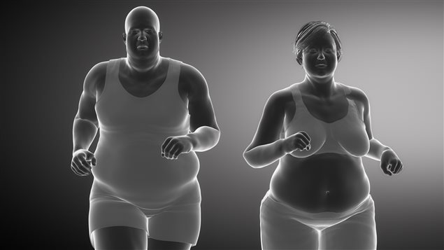 Des personnes obèses courent Des personnes obèses courent